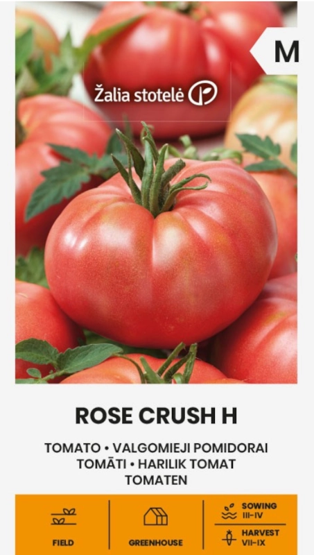Pomidor Rose Crush H odmiana o owocach typu beefsteak bardzo plenna nasiona Žalia stotelė sklep rajogrodnika